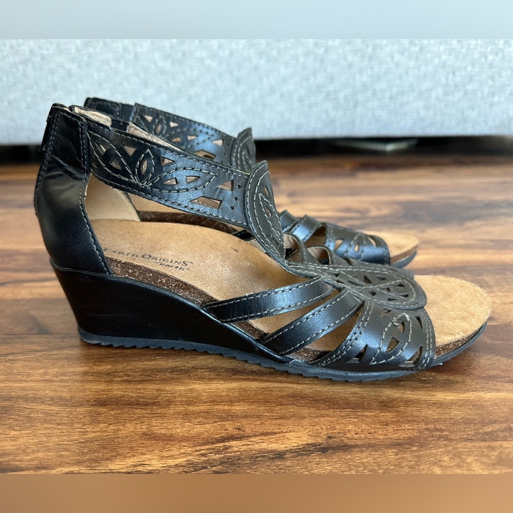 Earth Origins wedges